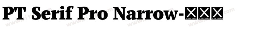 PT Serif Pro Narrow字体转换